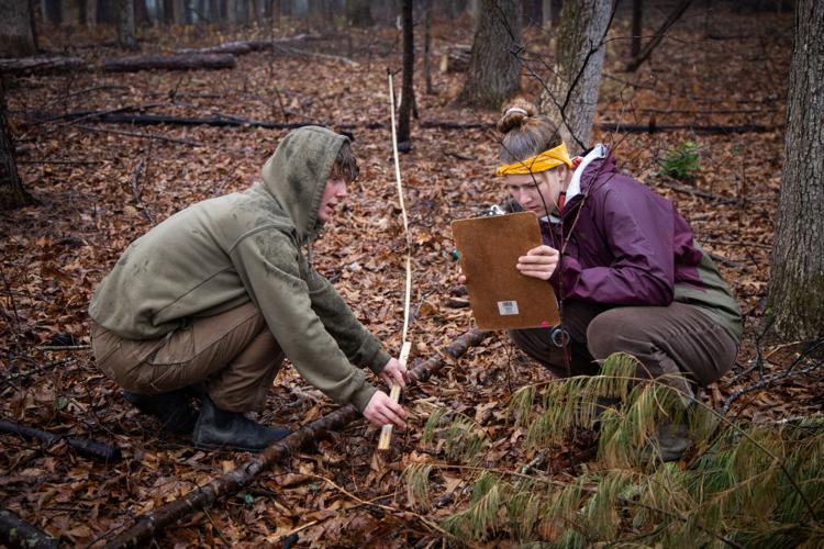 New Swannanoa preserve to double as public recreation and living ...