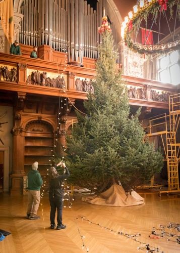 Biltmore House Christmas Tree Arrival November 1 2022 Huge Christmas Tree Arrives In Style At Biltmore | Arts | Biltmorebeacon.com