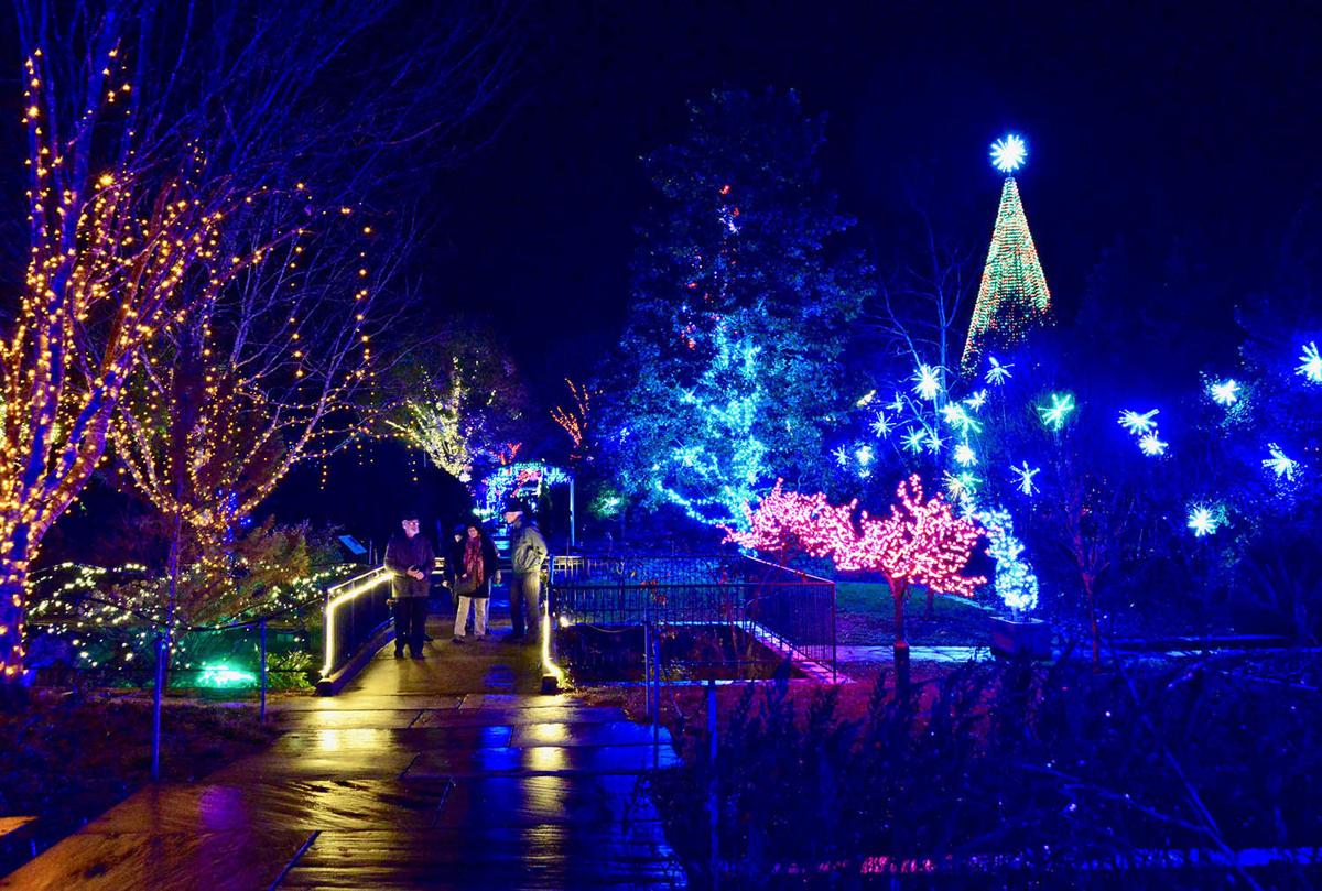 Winter Lights Brings Delight To The Season News