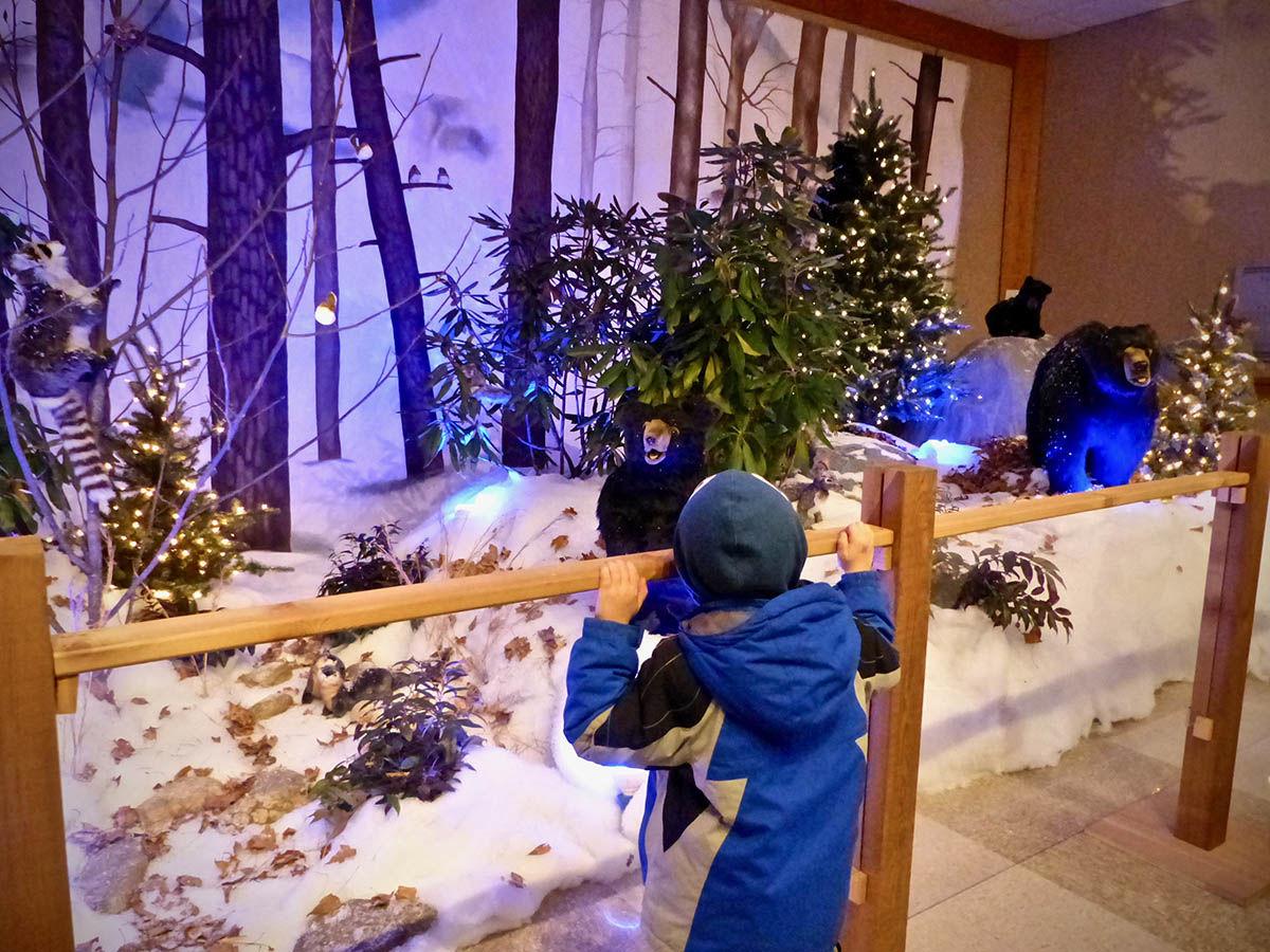 Winter Lights Brings Delight To The Season News