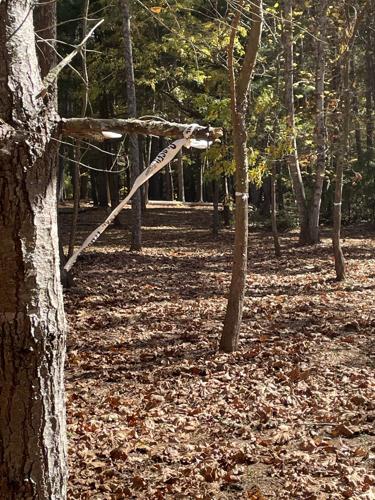 New Biltmore Forest walking trail coming Living biltmorebeacon com