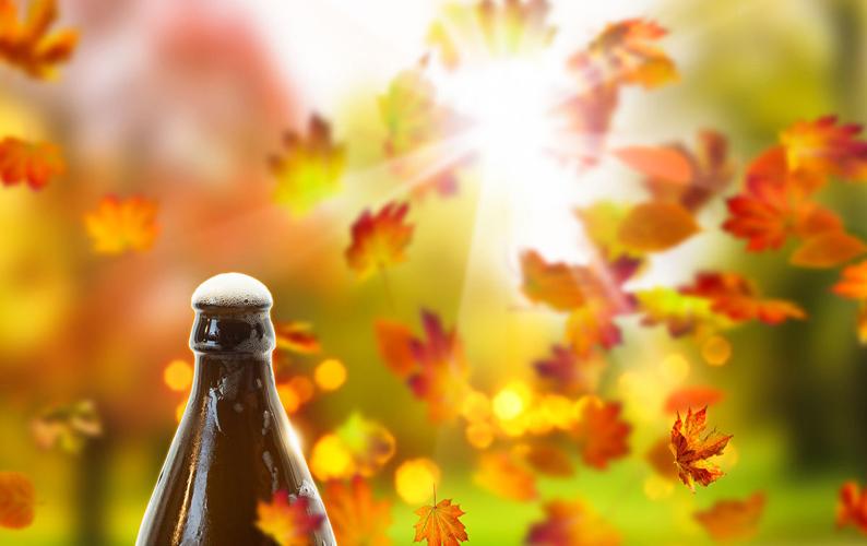 Fall craft beer events, like leaves, are piling up | | biltmorebeacon.com