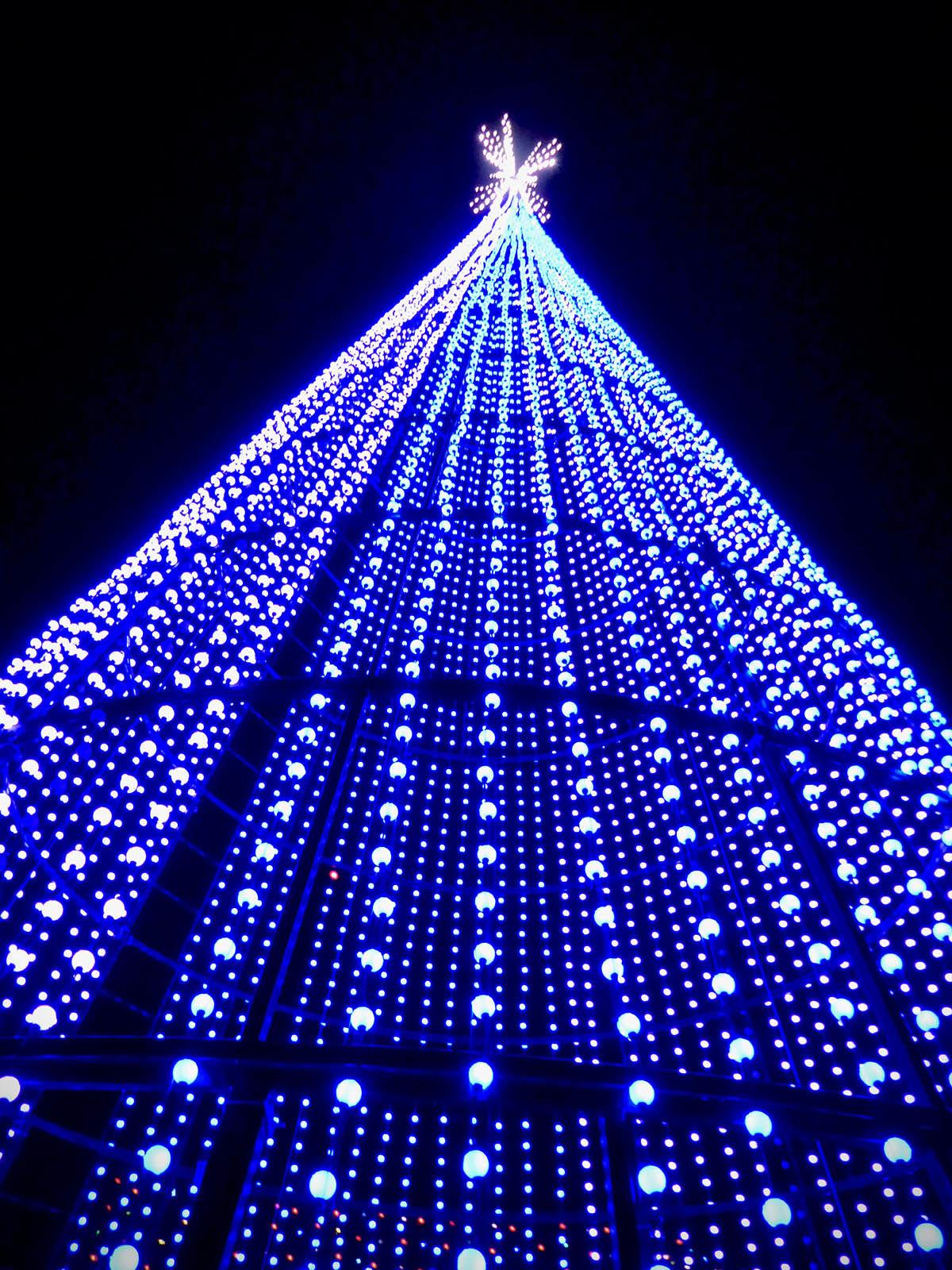 Winter Lights Brings Delight To The Season News