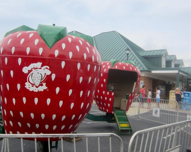 Despite Earlier Hardships, Apple Farmers Celebrate This Year’s Crop ...