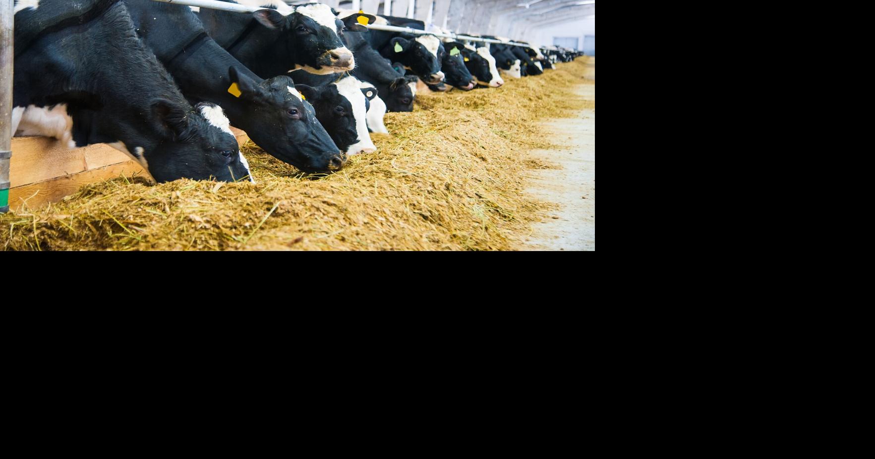 Farm grants strengthen agribusiness in WNC