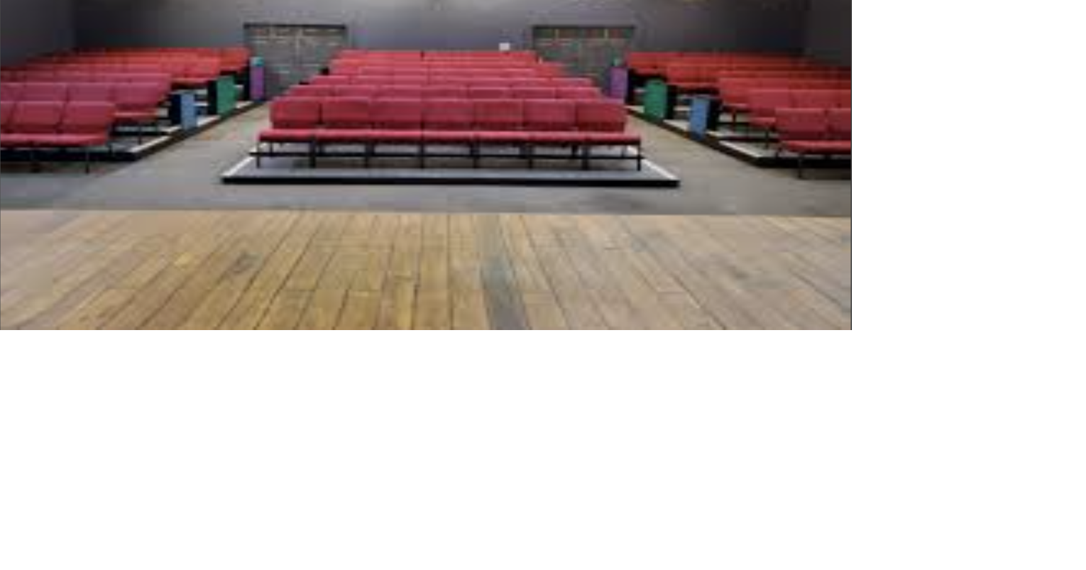 Musical revue to help theatre with post-Helene recovery