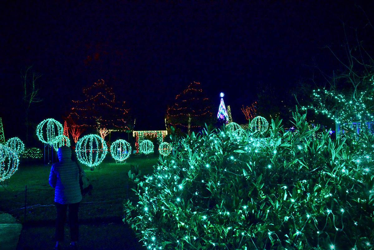 Winter Lights Brings Delight To The Season News