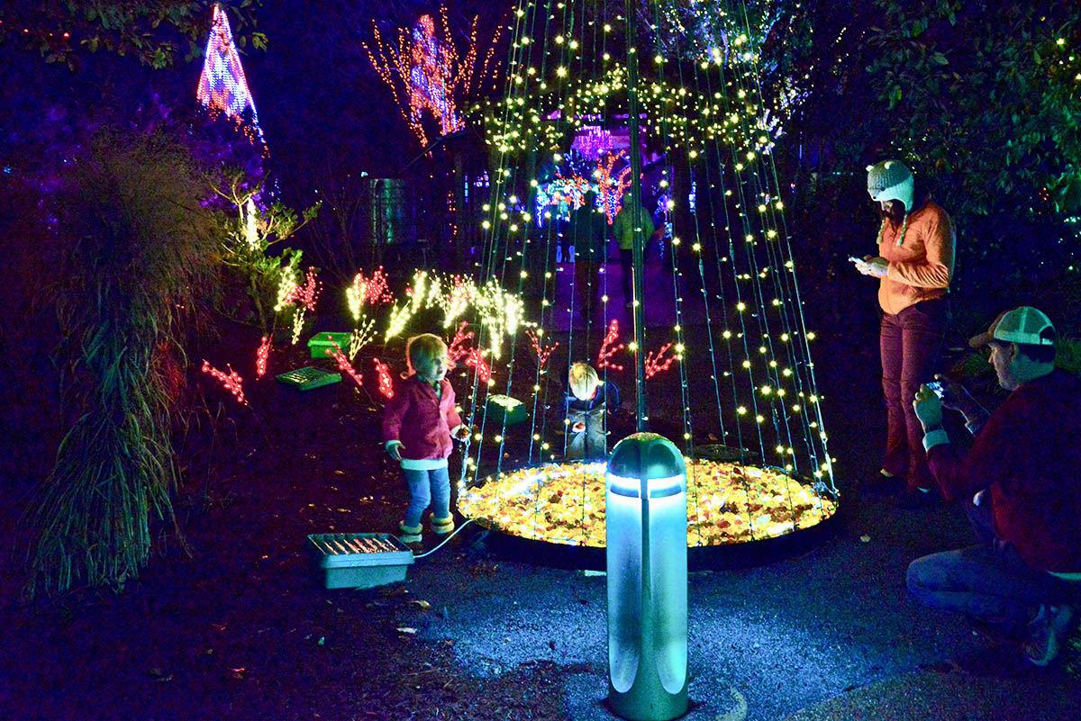 Winter Lights Brings Delight To The Season News