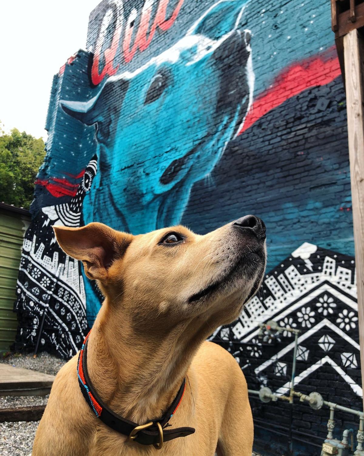 Artists Create Iconic New Artwork On Riverside Drive Arts