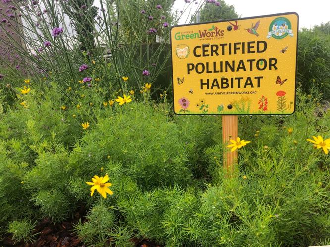 Gardening for Pollinators with Native Plants | Outdoors ...