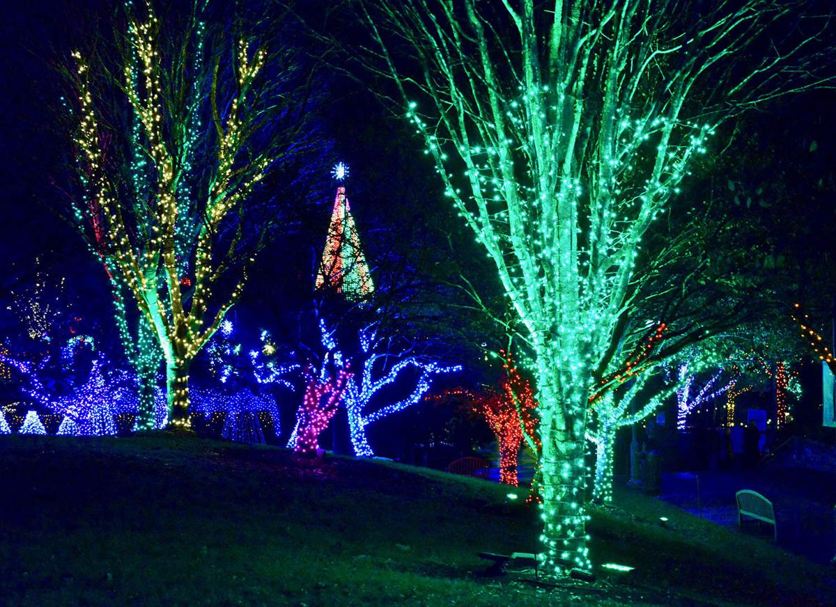Winter Lights Brings Delight To The Season News