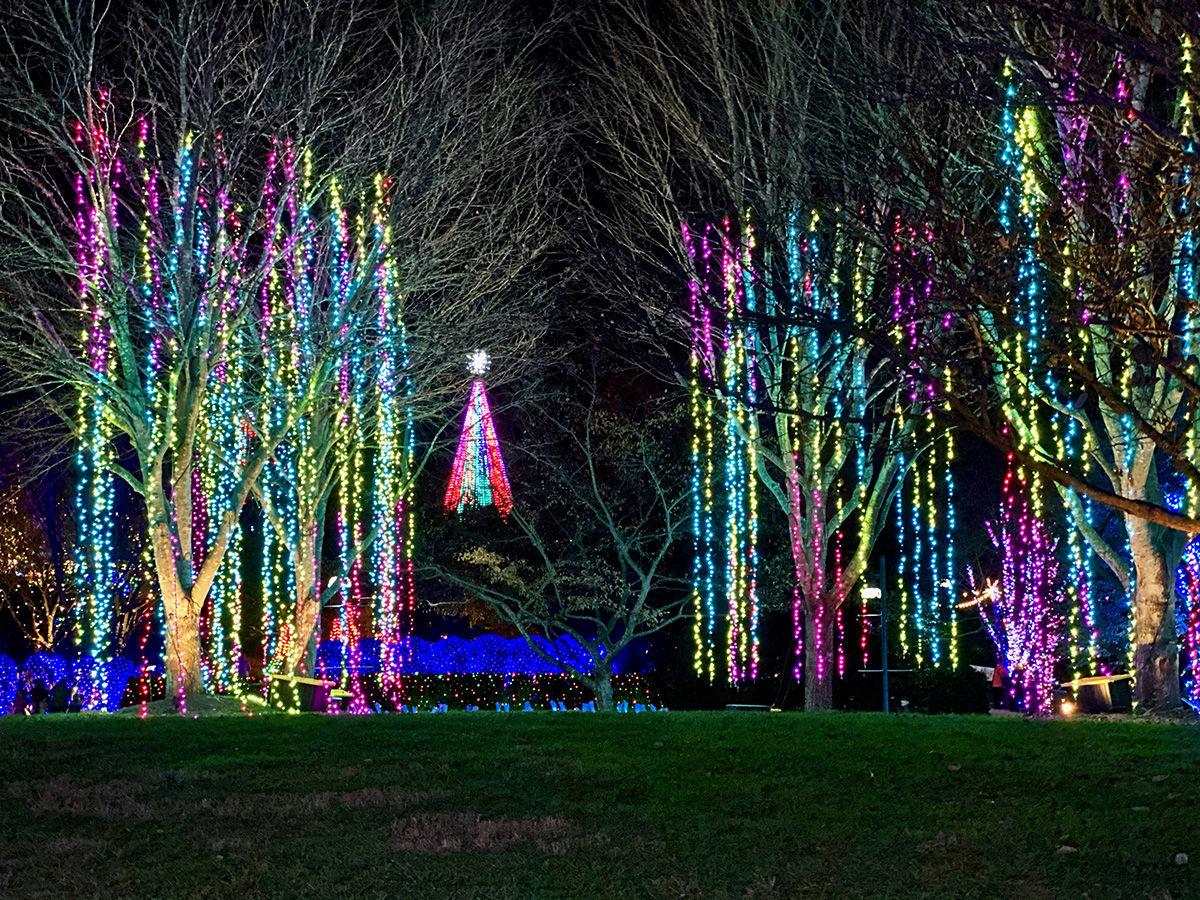 Light Up The Holidays Arboretum S Dazzling Winter Lights Show