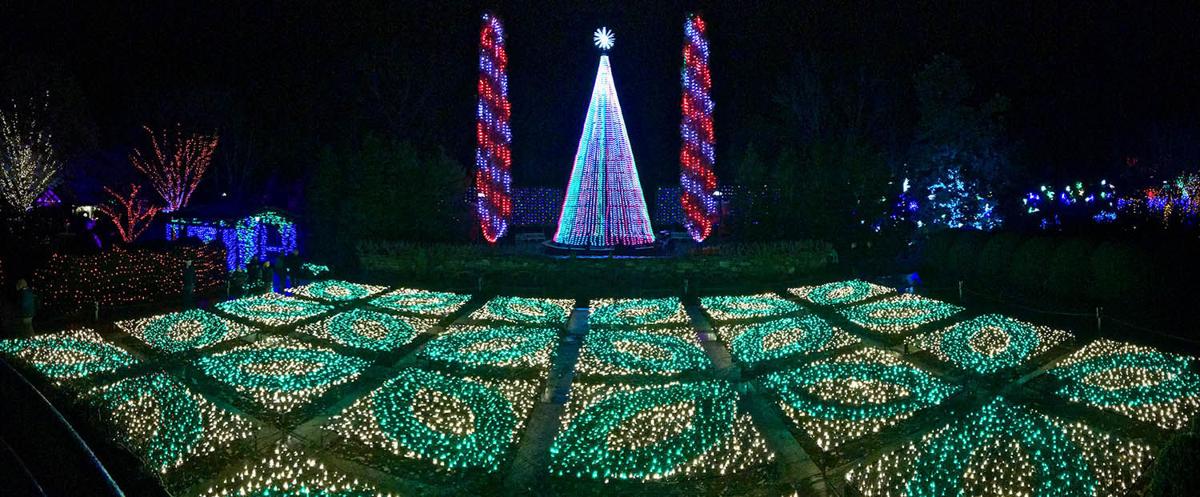 Winter Lights Brings Delight To The Season News