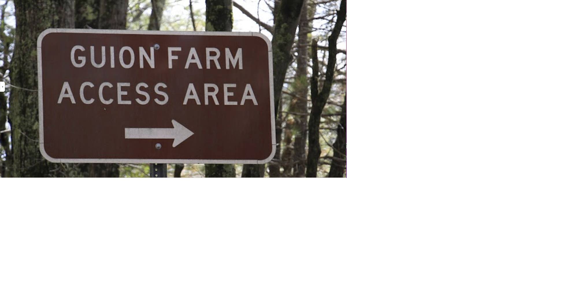 DuPont State Recreational Forest to expand parking and build restrooms