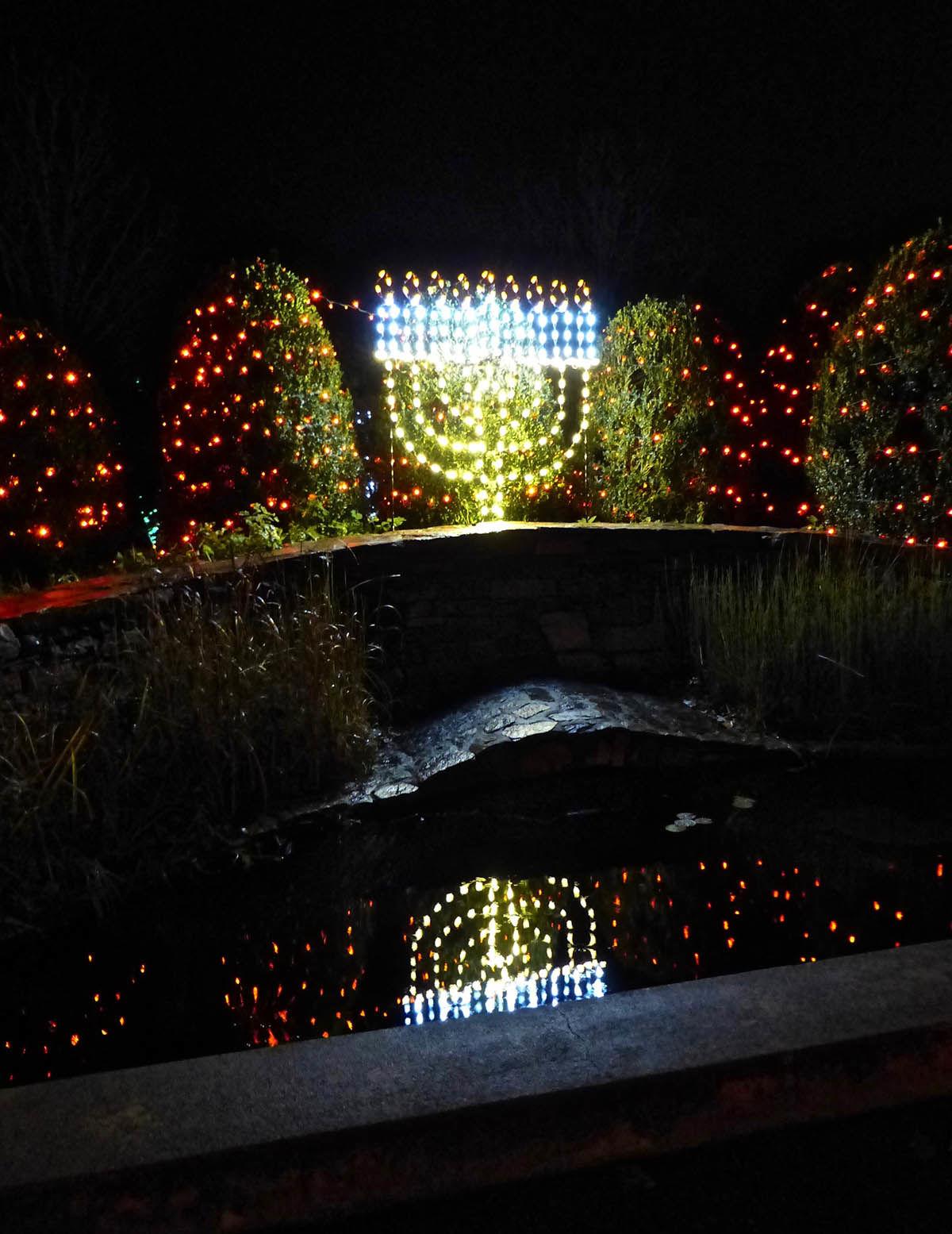 Winter Lights Brings Delight To The Season News