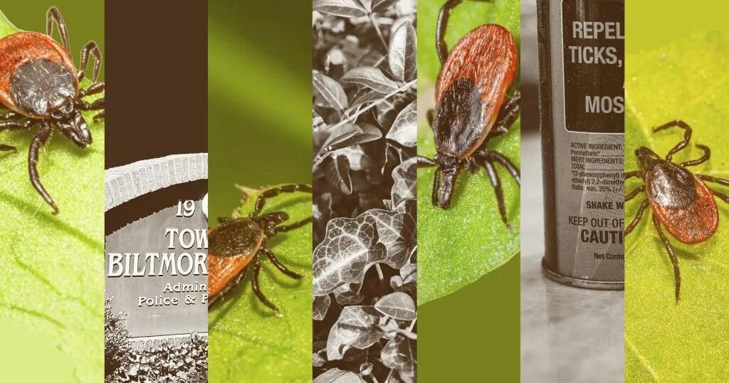 Lyme disease is here — Biltmore Forest’s ticks prove it, scientists say