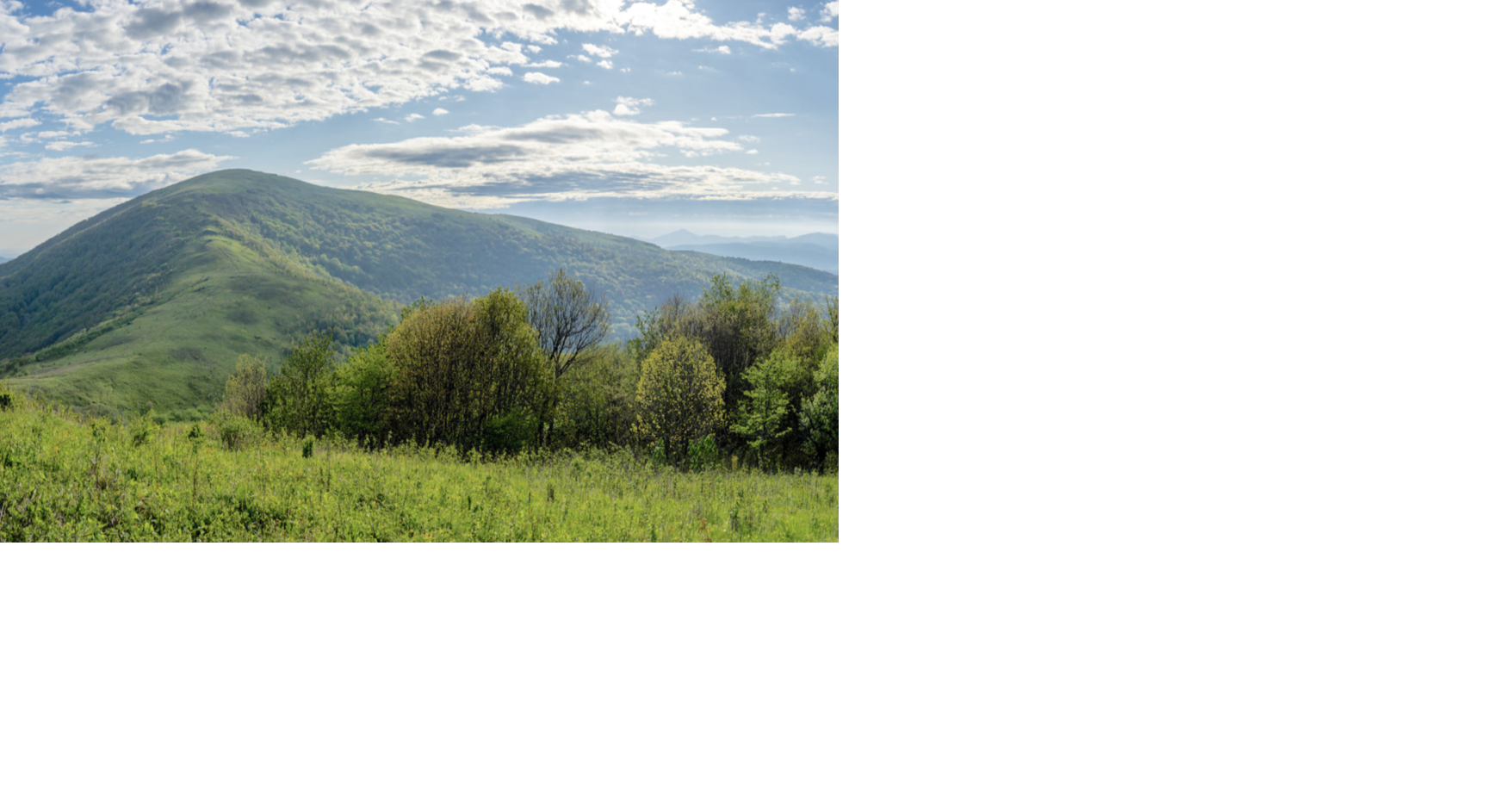 June Jamboree offers guided hikes in one of NC's most beautiful ...