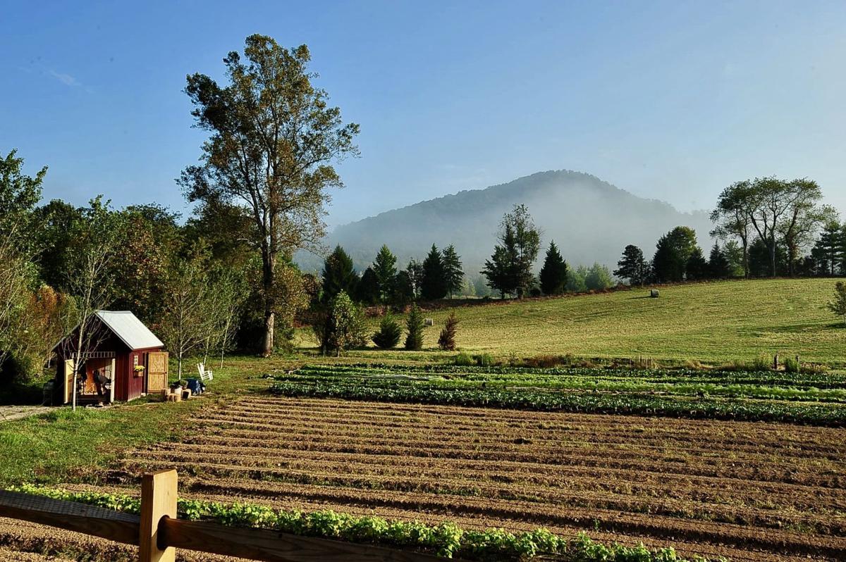 Creekside Farm brings people together at the farm and the table News