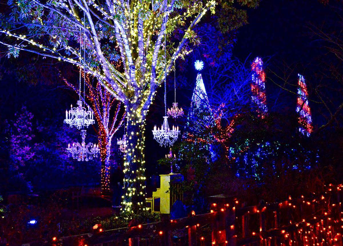 Winter Lights Brings Delight To The Season News