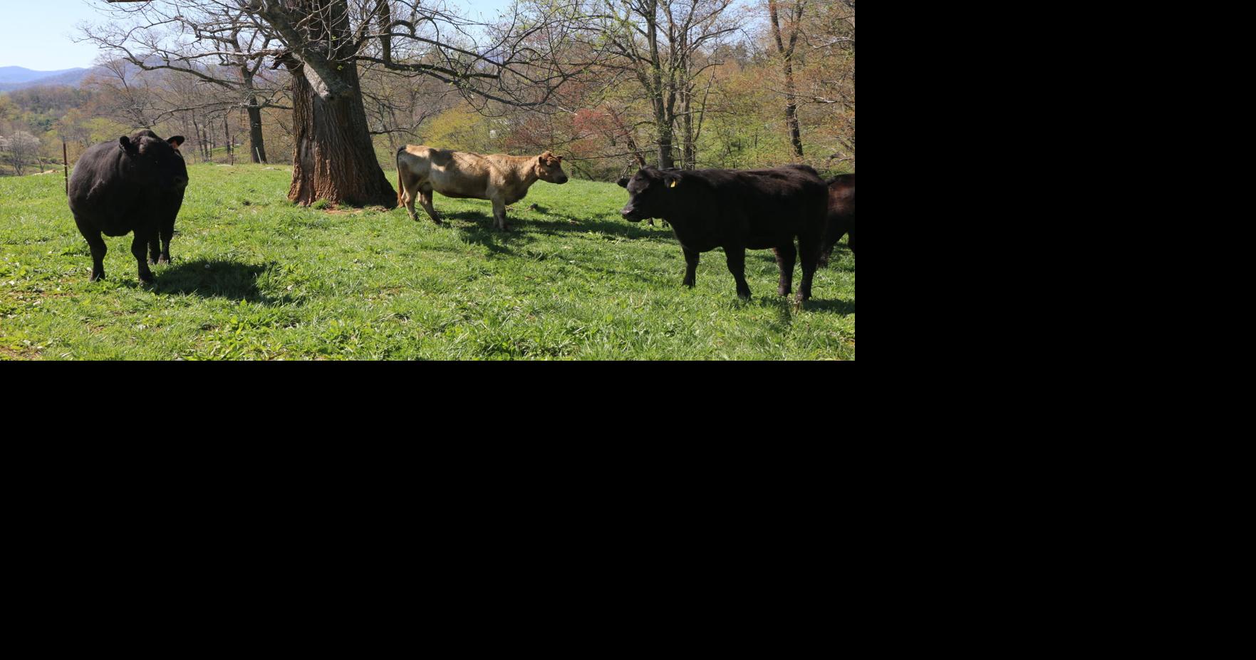 Secure your farm's future at Farm Succession School | Outdoor ...