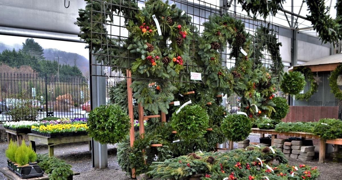 Fresh Holiday Decorations In Full Flourish At Area Garden Centers News Biltmorebeacon Com