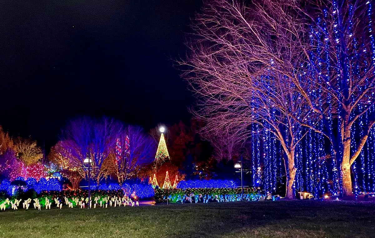 Light Up The Holidays Arboretum S Dazzling Winter Lights Show