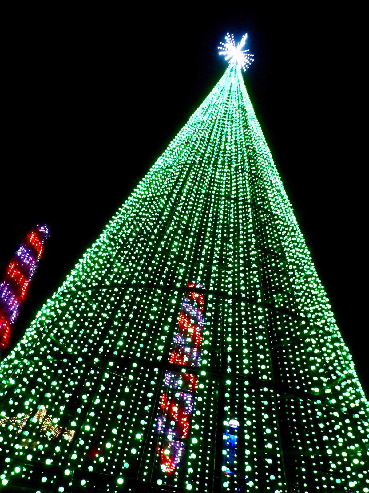 Winter Lights Brings Delight To The Season News