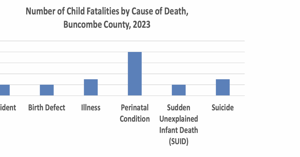 Child fatality report highlights action areas to prevent child deaths ...