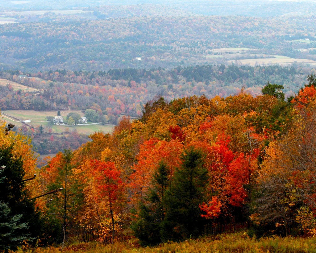 25 ways to view fall foliage in the Pocono Mountains News