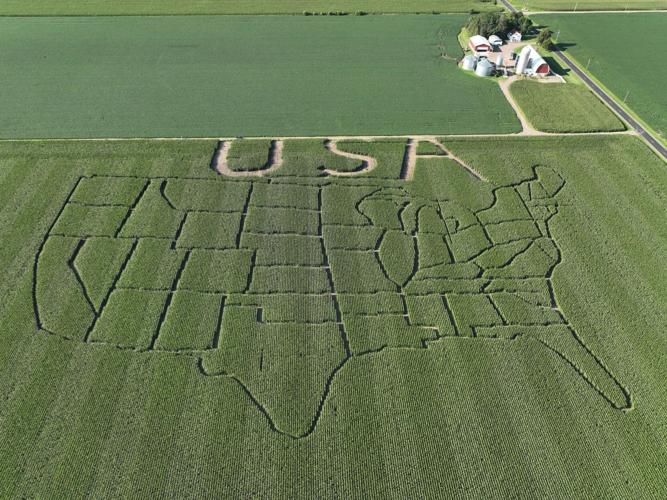 Bloomer Farmer Uses Modern Technology To Create Corn Maze | Front Page |  