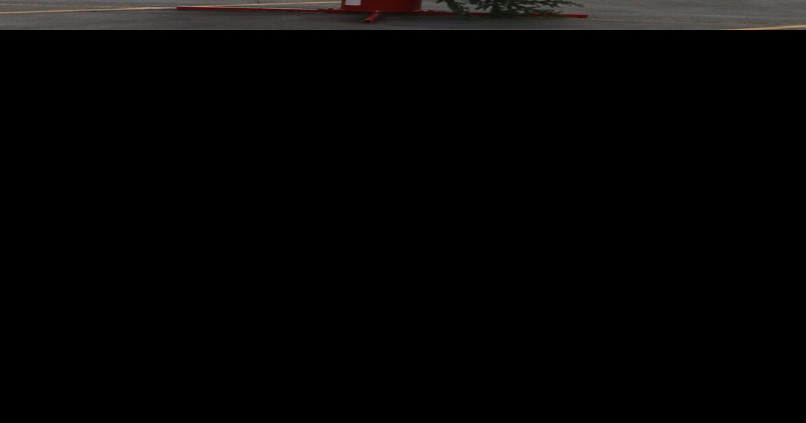 Marquardt Christmas Trees Mn 2022 Spread The Spirit 2021” | Front Page | Bloomeradvance.com
