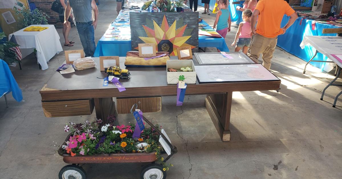 Bloomer Community Fair 2025 Highlights Free News & Features