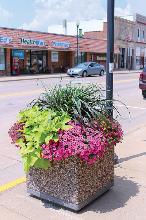 Bloomer Planters On Main In Full Bloom