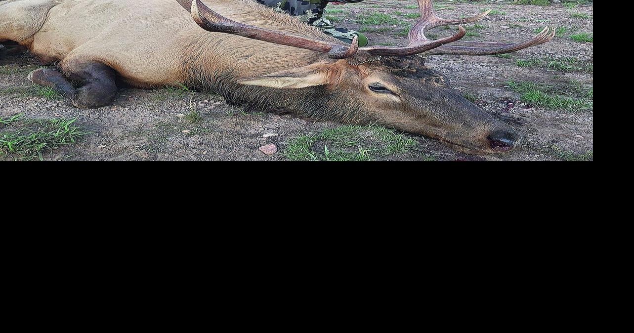Local Legend Bags Bull Of A Lifetime