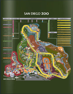 san diego zoo plan routes