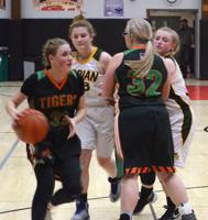 Dayville/Monument girls fall to Adrian at district tournament