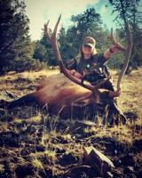 HUNT GUIDE: Her first bull elk was a unicorn