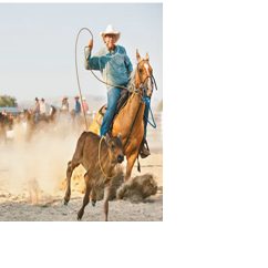 Guymon, college unite in rodeo | Sports | borgernewsherald.com