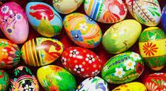 eggs