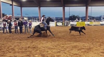 Frank Phillips College's Sophomore Breakaway-roper Shelby Dunning leads ...