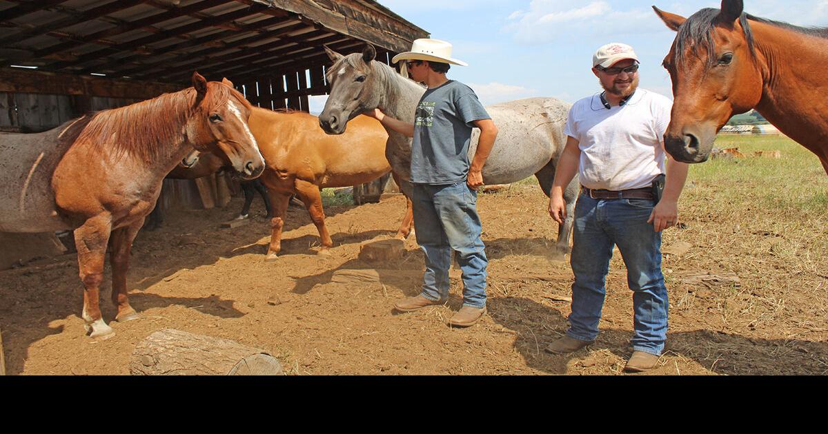 Rangeland program prepares students for reallife situations Features