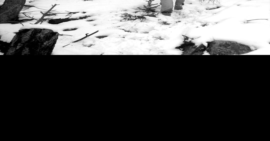 How much water does a new plant need? It depends. Features boulder