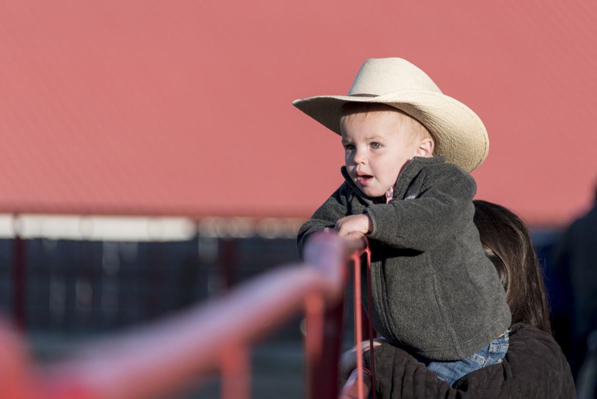 Not quite his first rodeo, but almost