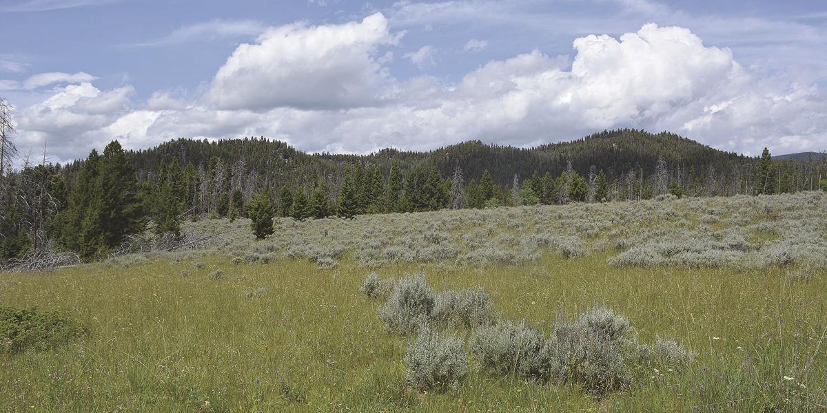 Three routes of discovery to Boulder Park Features