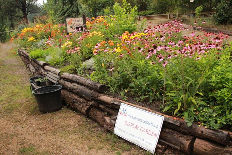 Tizer Botanic Gardens for sale after 23 years News