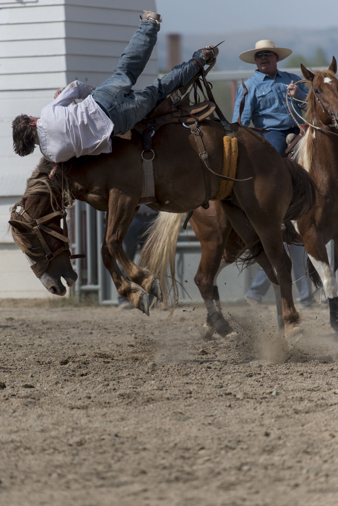 210707 PHOTO Wyldman Rodeo July 3 JOSHUA -19.jpg