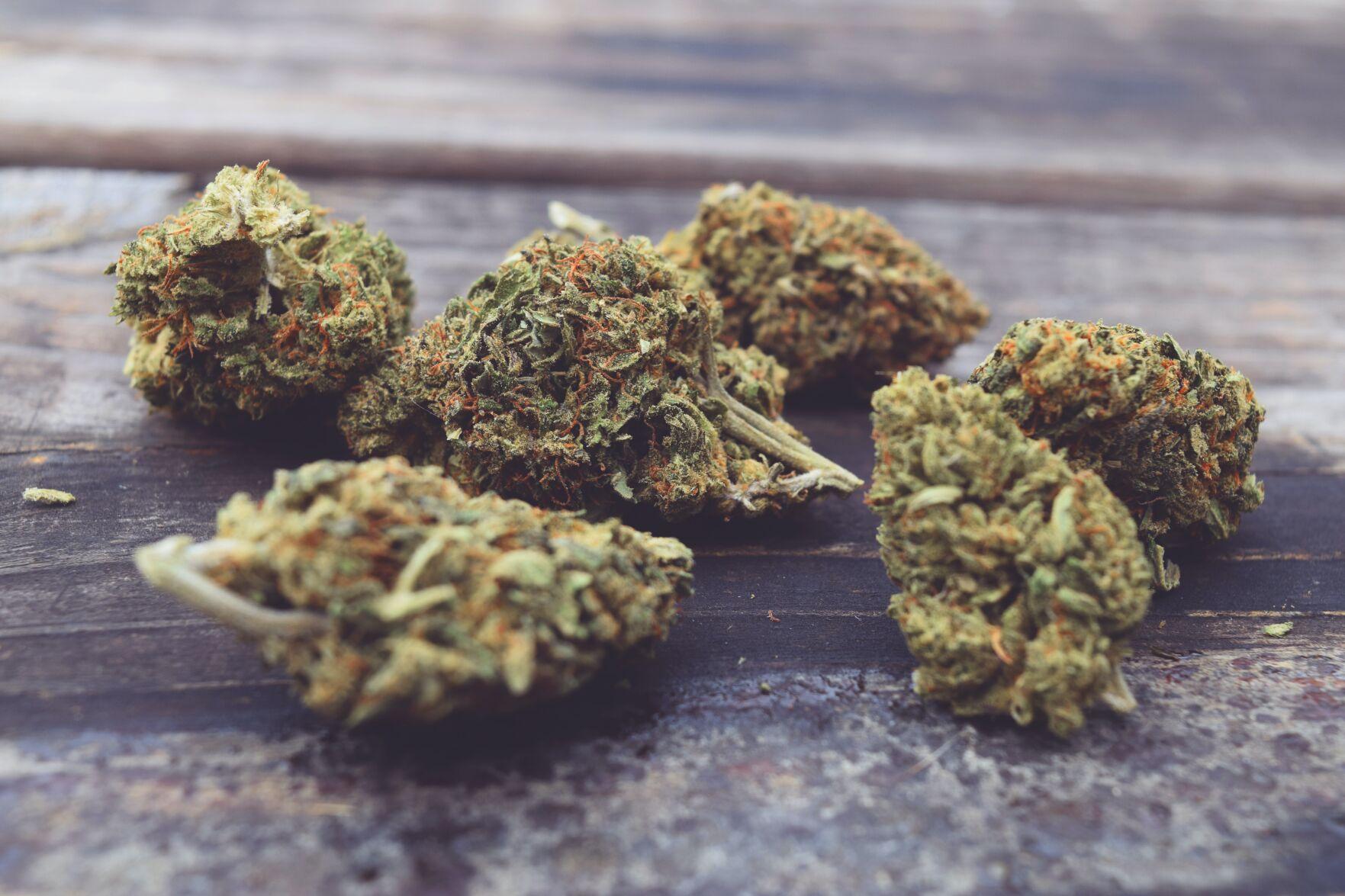 Best CBD flower strains Top 5 brands of 2021 Sponsored