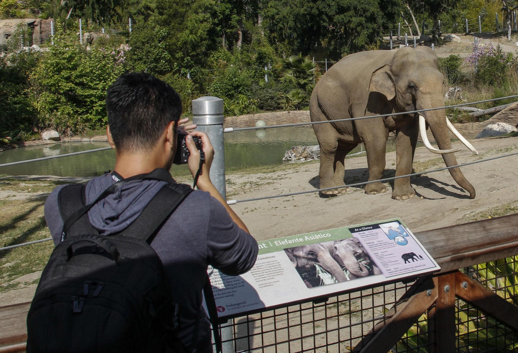 Opinion Zoos aren't Opinion