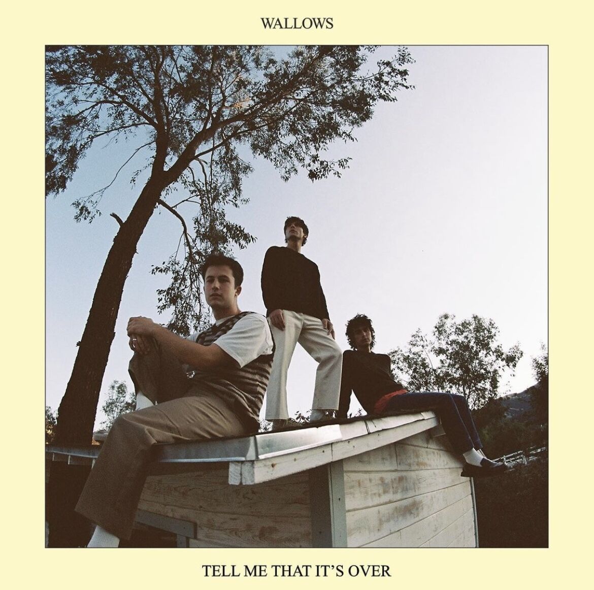 Wallows  Iconic wallpaper Band wallpapers Wallpaper pictures