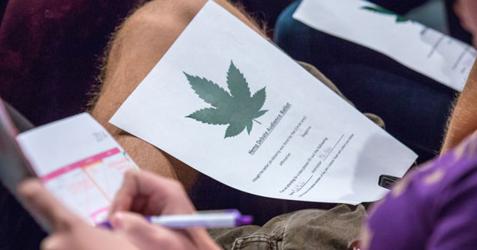 The great hemp debate